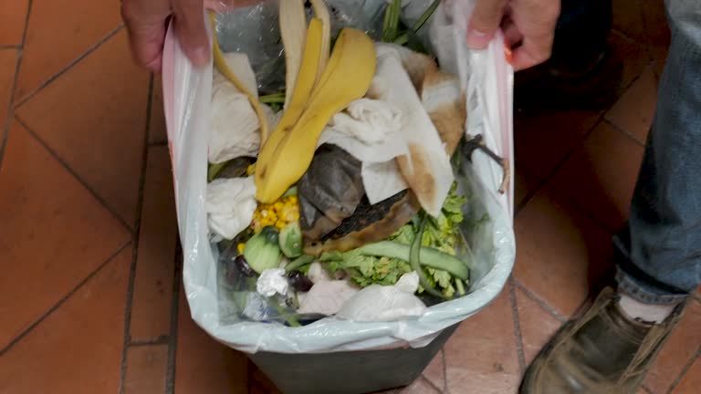 Best Commercial Junk Removal  in Williamsburg, PA